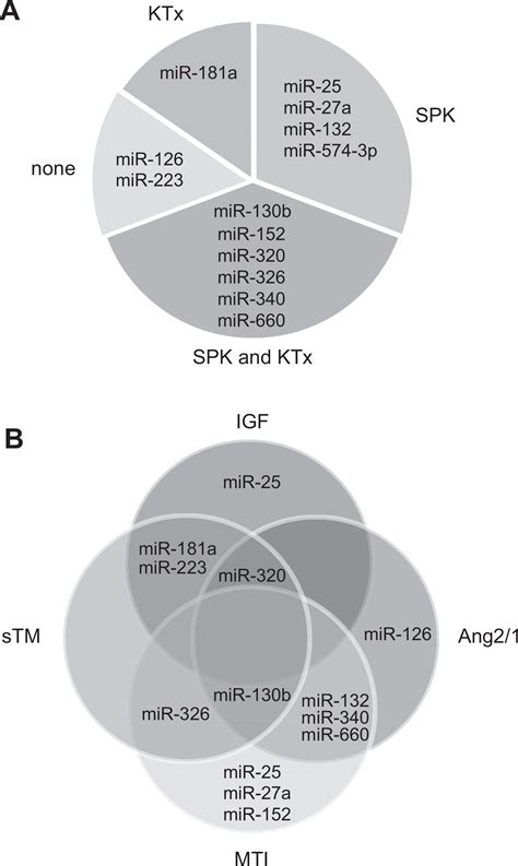 spkfu|Circulating MicroRNAs Associate With Diabetic Nephropathy and .